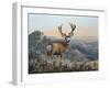 Western Monarch-Chuck Black-Framed Giclee Print