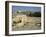 Western or Wailing Wall, with the Gold Dome of the Rock, Jerusalem, Israel-Simanor Eitan-Framed Photographic Print