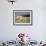 Western or Wailing Wall, with the Gold Dome of the Rock, Jerusalem, Israel-Simanor Eitan-Framed Photographic Print displayed on a wall