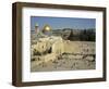 Western or Wailing Wall, with the Gold Dome of the Rock, Jerusalem, Israel-Simanor Eitan-Framed Photographic Print