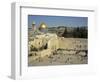 Western or Wailing Wall, with the Gold Dome of the Rock, Jerusalem, Israel-Simanor Eitan-Framed Photographic Print