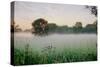 Western Plains Sunrise-Alan Blaustein-Stretched Canvas