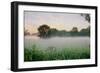 Western Plains Sunrise-Alan Blaustein-Framed Photographic Print