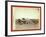 Western Ranch House-John C. H. Grabill-Framed Giclee Print