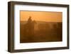 Western Roundup Number 1-Steve Gadomski-Framed Photographic Print