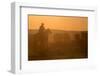 Western Roundup Number 1-Steve Gadomski-Framed Photographic Print