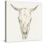 Western Skull Mount I-Ethan Harper-Stretched Canvas