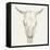 Western Skull Mount I-Ethan Harper-Framed Stretched Canvas