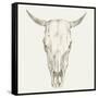 Western Skull Mount I-Ethan Harper-Framed Stretched Canvas