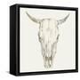 Western Skull Mount I-Ethan Harper-Framed Stretched Canvas