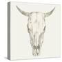 Western Skull Mount I-Ethan Harper-Stretched Canvas