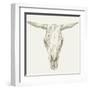 Western Skull Mount II-Ethan Harper-Framed Art Print