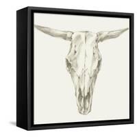 Western Skull Mount II-Ethan Harper-Framed Stretched Canvas