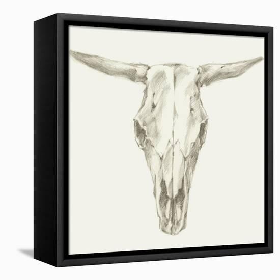 Western Skull Mount II-Ethan Harper-Framed Stretched Canvas