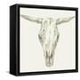 Western Skull Mount II-Ethan Harper-Framed Stretched Canvas