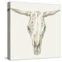 Western Skull Mount II-Ethan Harper-Stretched Canvas