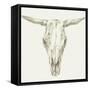 Western Skull Mount II-Ethan Harper-Framed Stretched Canvas