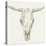 Western Skull Mount II-Ethan Harper-Stretched Canvas