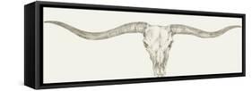 Western Skull Mount III-Ethan Harper-Framed Stretched Canvas