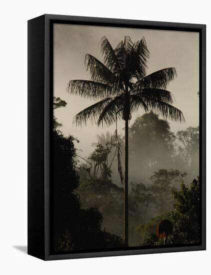 Western Slope of the Andes, San Isidro, Ecuador-Pete Oxford-Framed Stretched Canvas