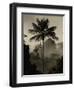 Western Slope of the Andes, San Isidro, Ecuador-Pete Oxford-Framed Photographic Print