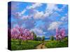 Western Slope Orchard in Spring-Patty Baker-Stretched Canvas