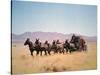 Western Stagecoach Pulled by a Six Mule Team-null-Stretched Canvas