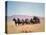 Western Stagecoach Pulled by a Six Mule Team-null-Stretched Canvas