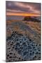 Western Sunset at Salt Point, California Coast-null-Mounted Photographic Print