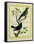 Western Tanager Et Spotted Tanager-Georges-Louis Buffon-Framed Stretched Canvas