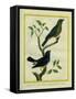 Western Tanager Et Spotted Tanager-Georges-Louis Buffon-Framed Stretched Canvas