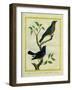 Western Tanager Et Spotted Tanager-Georges-Louis Buffon-Framed Giclee Print