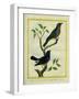 Western Tanager Et Spotted Tanager-Georges-Louis Buffon-Framed Giclee Print