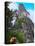 Western Traveler with Temple I, Tikal Ruins, Guatemala-Keren Su-Stretched Canvas