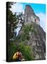 Western Traveler with Temple I, Tikal Ruins, Guatemala-Keren Su-Stretched Canvas