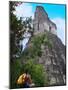 Western Traveler with Temple I, Tikal Ruins, Guatemala-Keren Su-Mounted Photographic Print