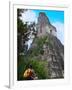 Western Traveler with Temple I, Tikal Ruins, Guatemala-Keren Su-Framed Photographic Print