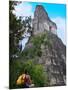 Western Traveler with Temple I, Tikal Ruins, Guatemala-Keren Su-Mounted Photographic Print