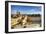 Western Wall and Dome of the Rock in the Old City of Jerusalem, Israel.-SeanPavonePhoto-Framed Photographic Print