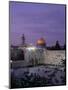 Western Wall, Jerusalem, Israel-Jon Arnold-Mounted Premium Photographic Print