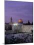 Western Wall, Jerusalem, Israel-Jon Arnold-Mounted Photographic Print