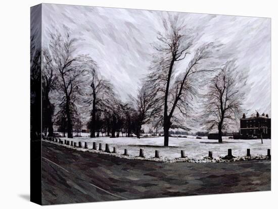 Westgrove, Looking Towards Blackheath, 1999-Ellen Golla-Stretched Canvas