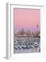 Westhaven Marina and City Skyline Illuminated at Dusk-Doug Pearson-Framed Photographic Print