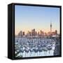 Westhaven Marina and City Skyline Illuminated at Sunset-Doug Pearson-Framed Stretched Canvas