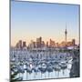 Westhaven Marina and City Skyline Illuminated at Sunset-Doug Pearson-Mounted Photographic Print