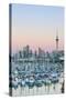 Westhaven Marina and City Skyline, Waitemata Harbour, Auckland, North Island, New Zealand, Pacific-Doug Pearson-Stretched Canvas