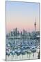 Westhaven Marina and City Skyline, Waitemata Harbour, Auckland, North Island, New Zealand, Pacific-Doug Pearson-Mounted Photographic Print