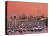 Westhaven Marina, Auckland, New Zealand-Doug Pearson-Stretched Canvas