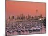 Westhaven Marina, Auckland, New Zealand-Doug Pearson-Mounted Photographic Print