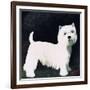 Westie, 1991-Maggie Rowe-Framed Giclee Print